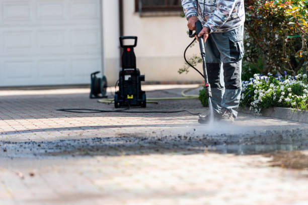Best Commercial Building Pressure Washing  in Colfax, IL