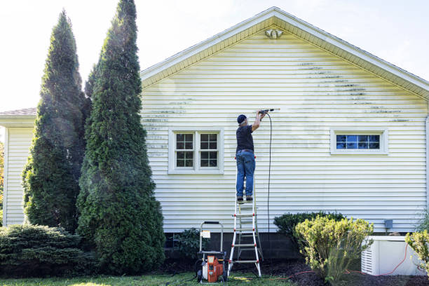 Best Pressure Washing Driveway  in Colfax, IL