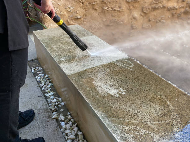Best Local Pressure Washing Services  in Colfax, IL