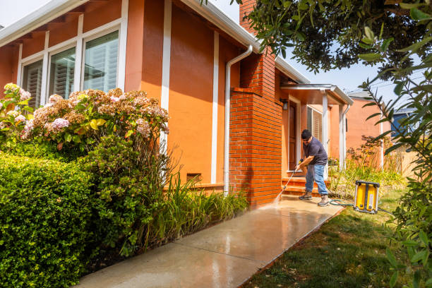  Colfax, IL Pressure Washing Pros