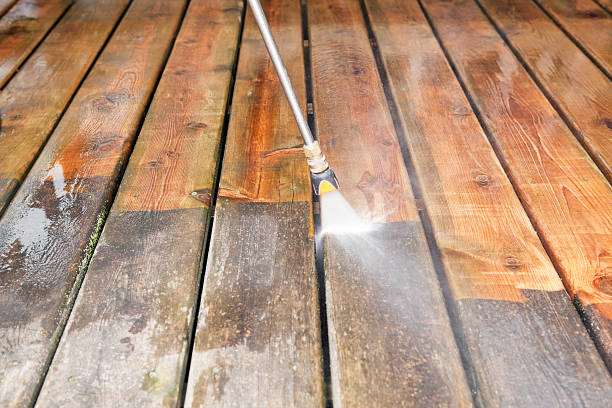 Best Affordable Pressure Washing  in Colfax, IL