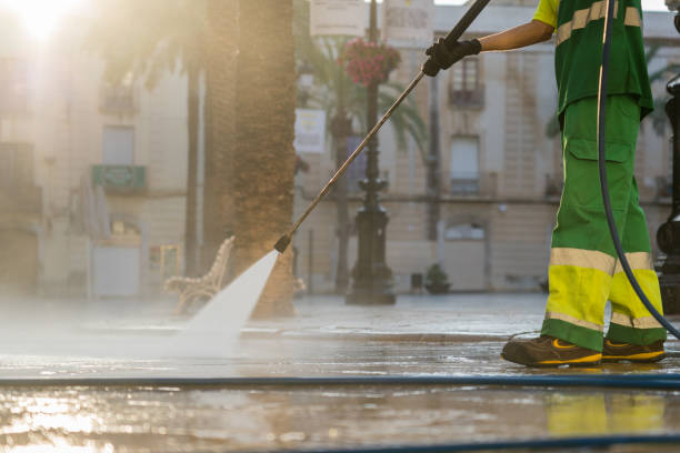 Best Residential Pressure Washing Services  in Colfax, IL