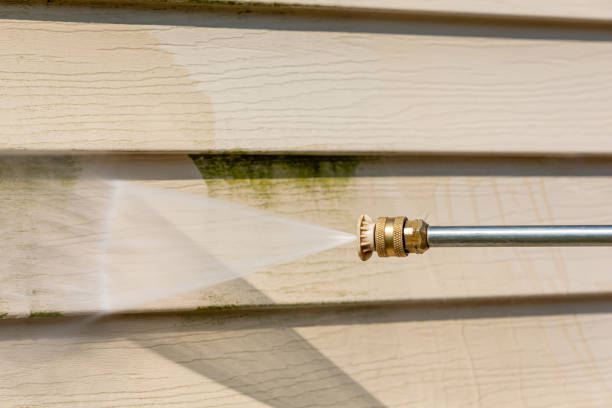 Best Affordable Power Washing  in Colfax, IL